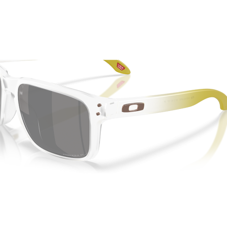 Oakley Holbrook OO9102 9102AP Prizm Black Polarized [3]