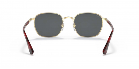 PERSOL PO2476S Gold Dark Grey [3]