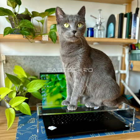 Protectie tastatura - Cat Friendly [11]