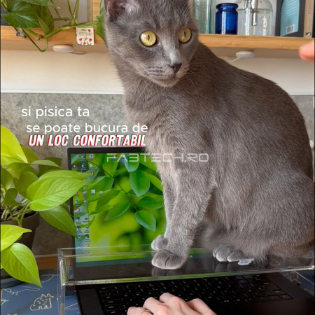 Protectie tastatura - Cat Friendly [7]