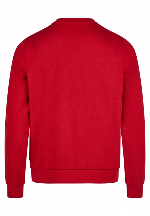 Bluza bumbac barbati HECHTER 70001-142924 rosu [2]