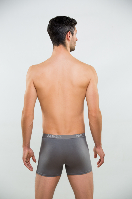 Boxeri barbati MR. BIG 201 gri [2]
