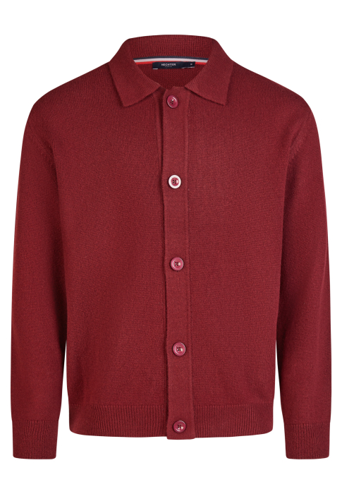 Cardigan lana nasturi barbati HECHTER visiniu [1]