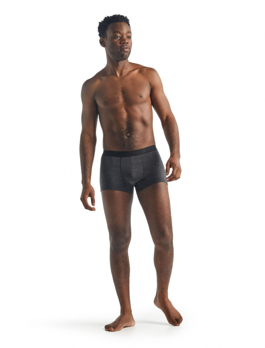Boxeri merino barbati ICEBREAKER Anatomica Cool-Lite gri [4]