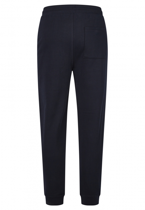 Pantaloni sport jogger barbati 70011-132909 690 bleumarin [2]