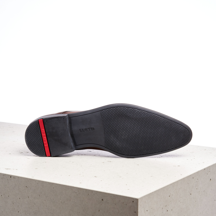 Pantofi barbati piele LLOYD NIK maro [5]