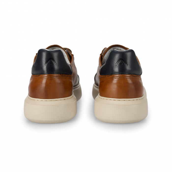 Pantofi piele perforata sneaker barbati AMBITIOUS Eclipse maro [5]