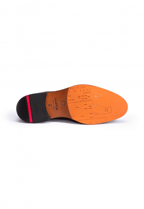 Pantofi barbati derby piele LLOYD PARBAT 14-147-04 maro [4]