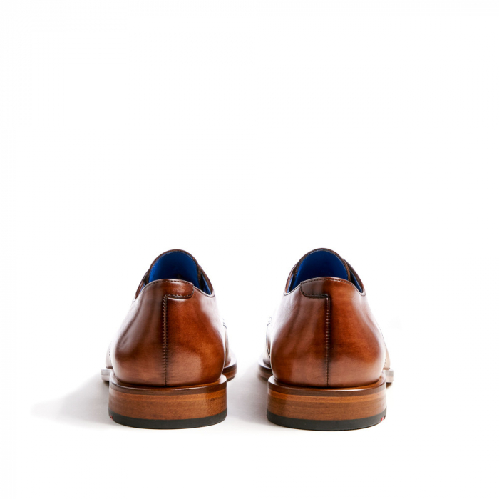 Pantofi piele derby barbati LLOYD RICK maro [6]