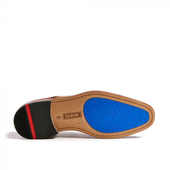 Pantofi piele derby barbati LLOYD RICK maro [4]