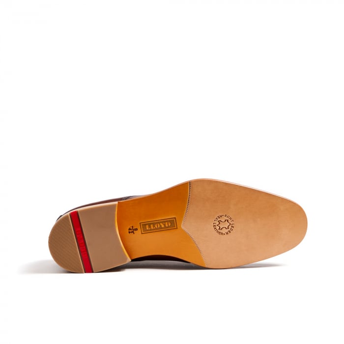 Pantofi piele derby barbati LLOYD SAIGON maro [4]