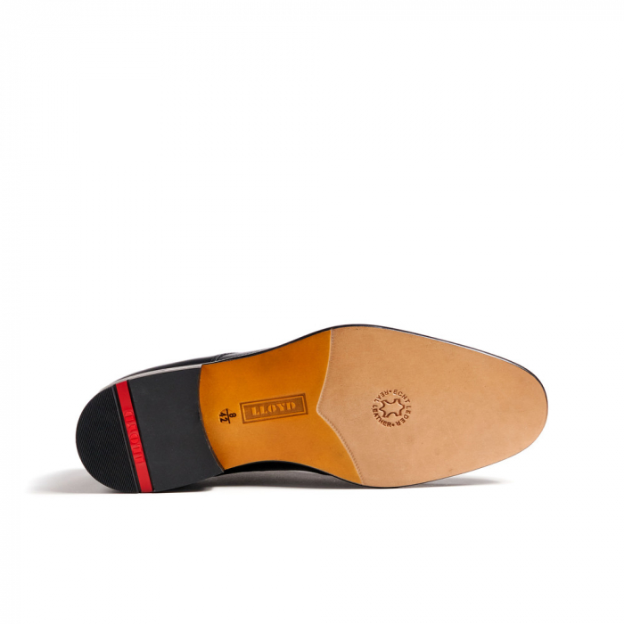 Pantofi piele derby barbati LLOYD SAIGON negru [6]