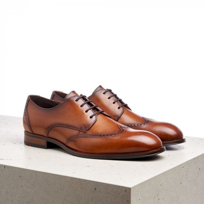 Pantofi derby barbati piele LLOYD SAMSON maro [2]