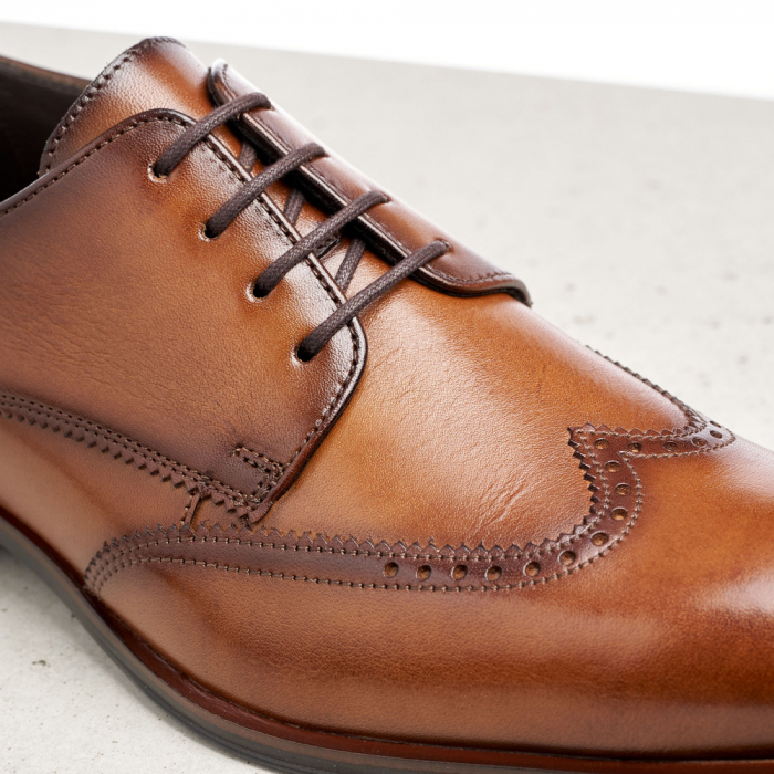 Pantofi derby barbati piele LLOYD SAMSON maro [3]