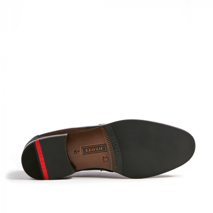 Pantofi piele loafer barbati LLOYD NOBILE maro [6]