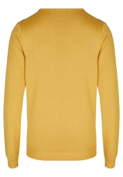 Pulover O-neck bumbac organic barbati DANIEL HECHTER auriu [2]