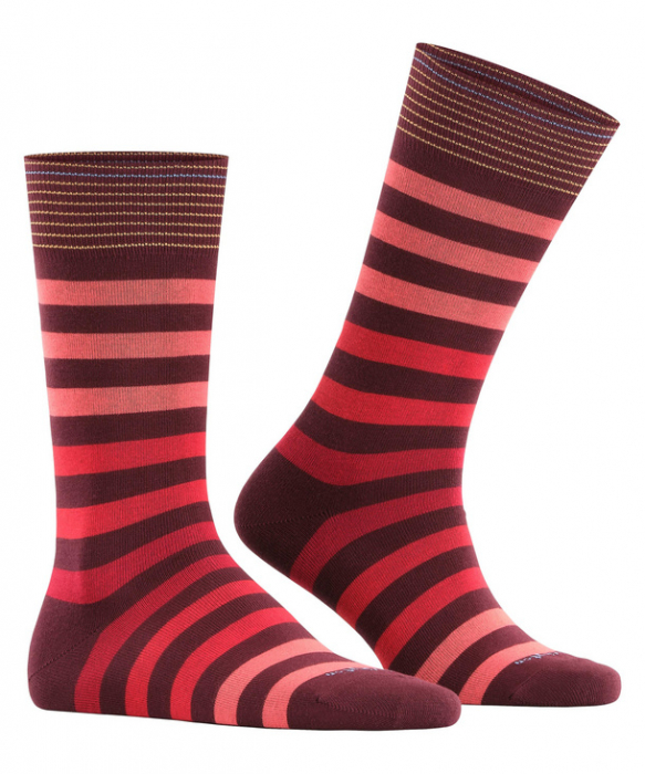 Sosete barbati BURLINGTON Blackpool dungi rosu 40-46 [3]