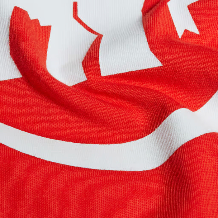 Tricou bumbac femei MAMMUT CORE CLASSIC rosu [5]