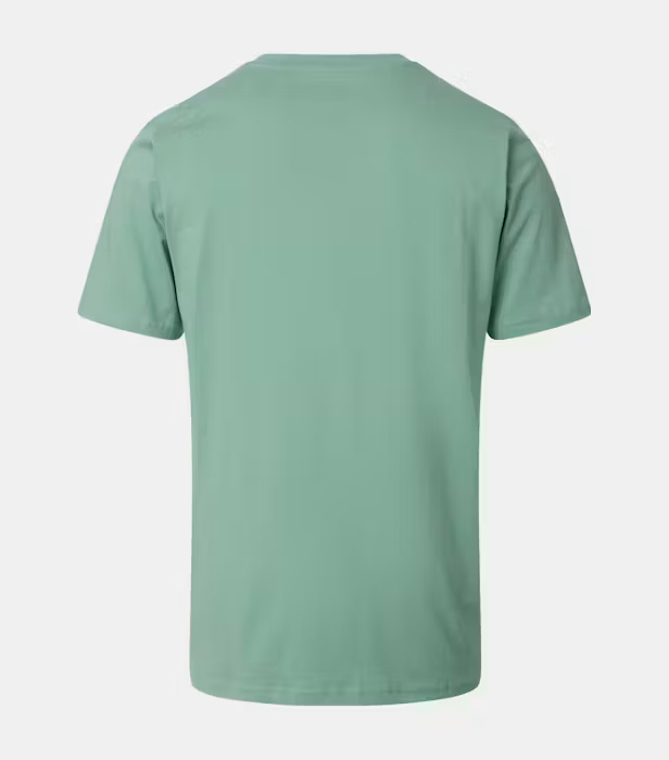 Tricou O-neck bumbac barbati CASA MODA 004200 verde deschis [2]