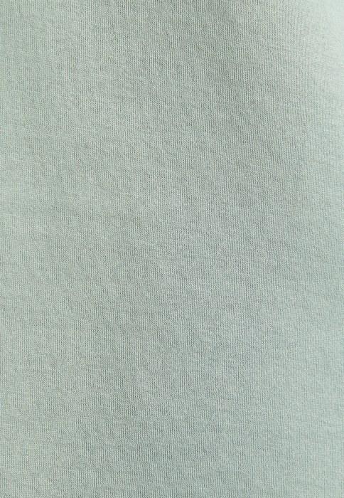 Tricou bumbac barbati O Neck SEIDENSTICKER vernil uni [3]