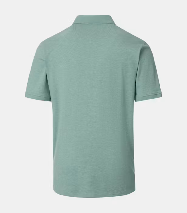 Tricou polo bumbac barbati CASA MODA 004470 vernil [2]