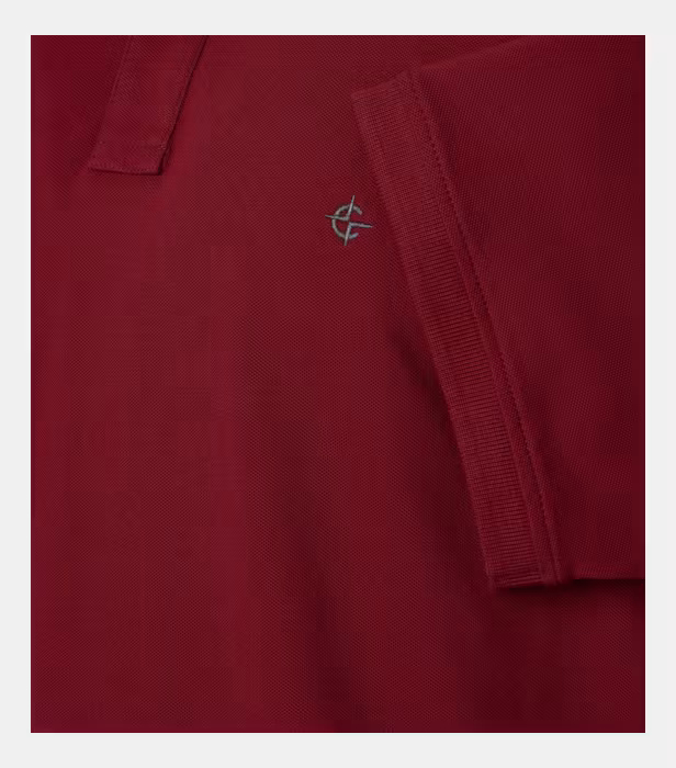 Tricou polo bumbac barbati CASA MODA 004470 visiniu [4]