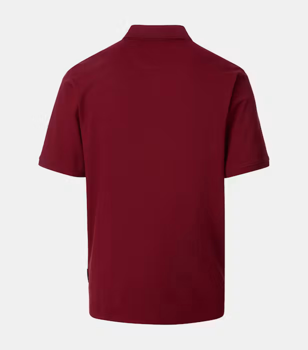 Tricou polo bumbac barbati CASA MODA 004470 visiniu [2]