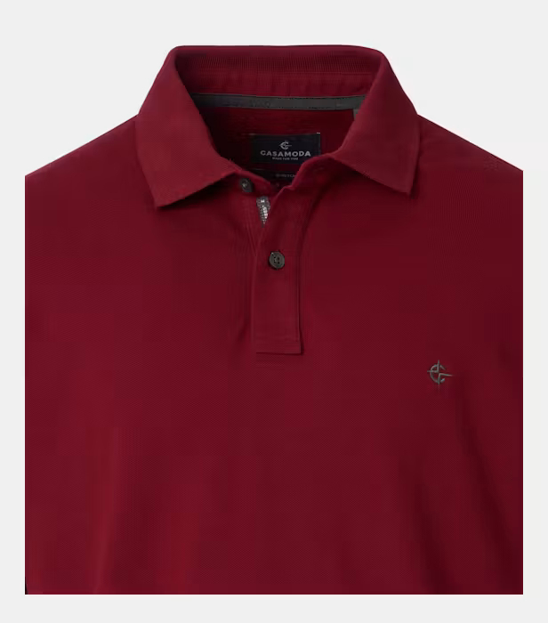 Tricou polo bumbac barbati CASA MODA 004470 visiniu [3]