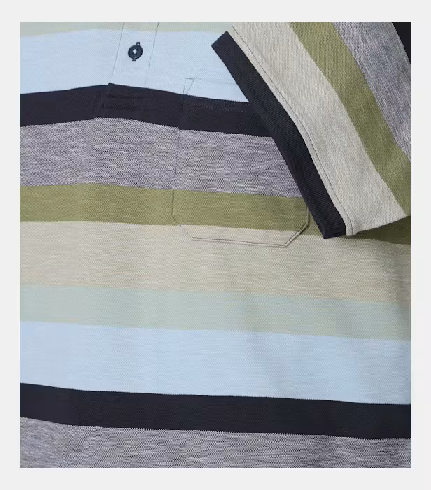 Tricou polo bumbac barbati CASA MODA oliv/bleu dungi [4]