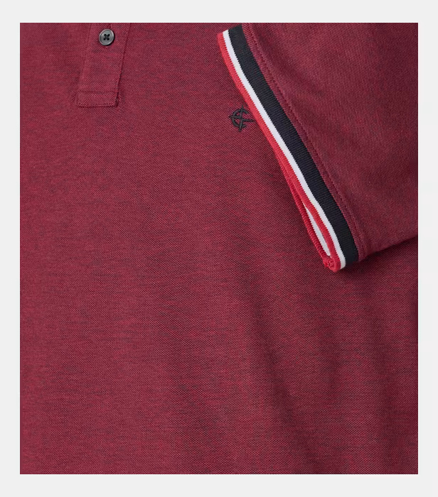 Tricou polo bumbac barbati CASA MODA visiniu [4]