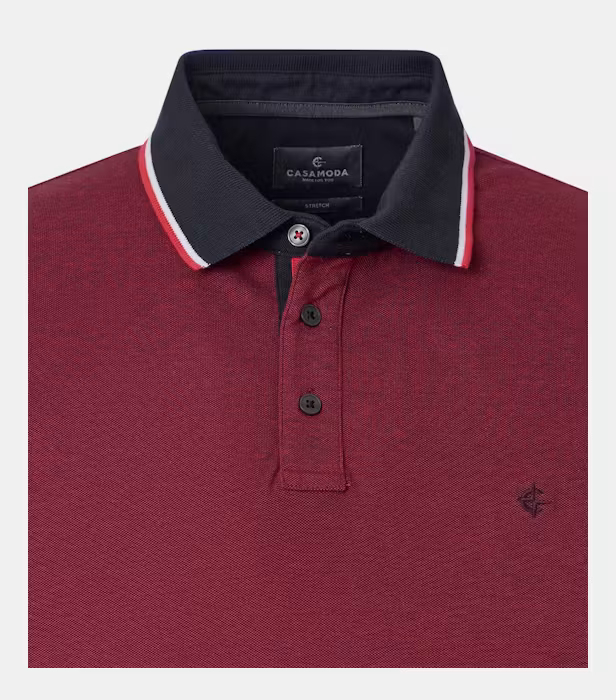 Tricou polo bumbac barbati CASA MODA visiniu [3]