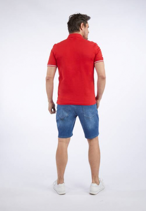 Tricou henley bumbac barbati DANIEL HECHTER Pique rosu [4]