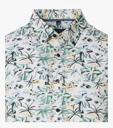 Camasa bumbac maneca scurta barbati CASA MODA New York CasualFit verde palmieri [2]