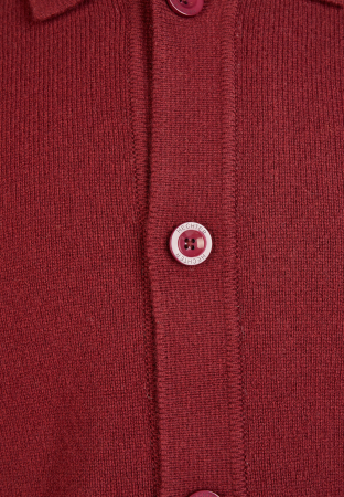 Cardigan lana nasturi barbati HECHTER visiniu [3]