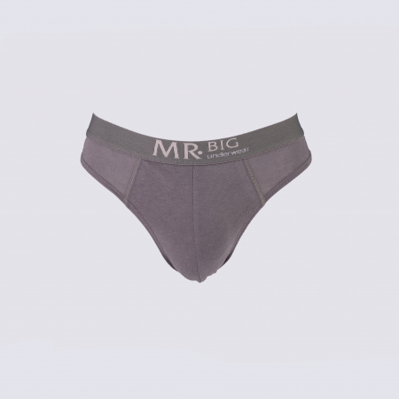 pijamale lenjerie de corp - Chiloti bumbac barbati MR. BIG 102 gri