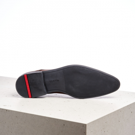 Pantofi barbati piele LLOYD NIK maro [4]