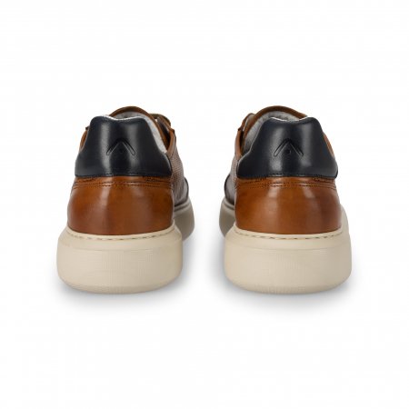 Pantofi piele perforata sneaker barbati AMBITIOUS Eclipse maro [4]