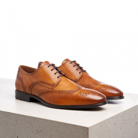 Pantofi derby barbati piele LLOYD MORTON maro [1]