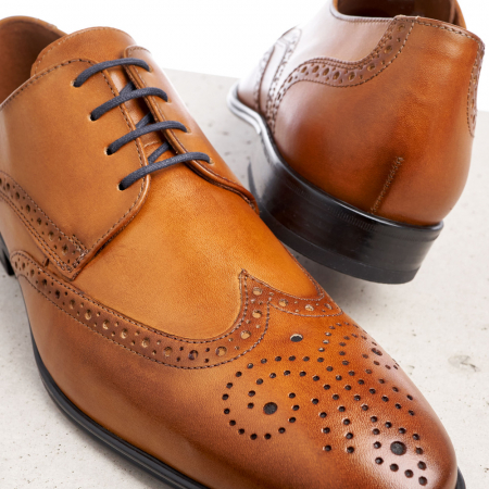 Pantofi derby barbati piele LLOYD MORTON maro [2]