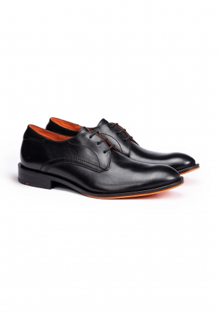 Pantofi barbati derby piele LLOYD PARBAT 14-147-00 negru [2]
