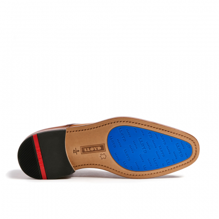Pantofi piele derby barbati LLOYD RICK maro [3]