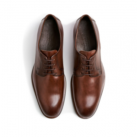 Pantofi derby barbati piele LLOYD SABRE maro [2]