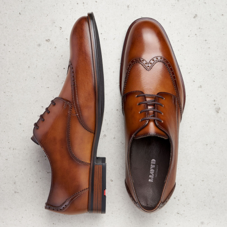 Pantofi derby barbati piele LLOYD SAMSON maro [3]