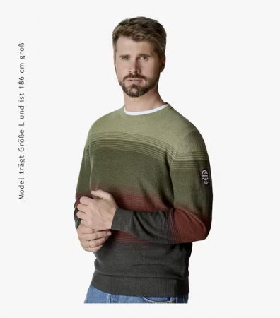 Pulover O Neck bumbac barbati CASA MODA dungi verde/caramiziu [4]