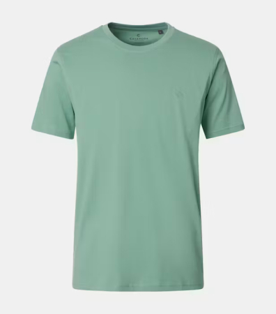 tricouri dupa stil - Tricou O-neck bumbac barbati CASA MODA 004200 verde deschis