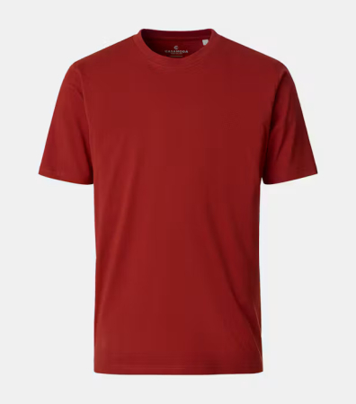 tricouri maneca scurta - Tricou O-neck bumbac barbati CASA MODA 004200 caramiziu