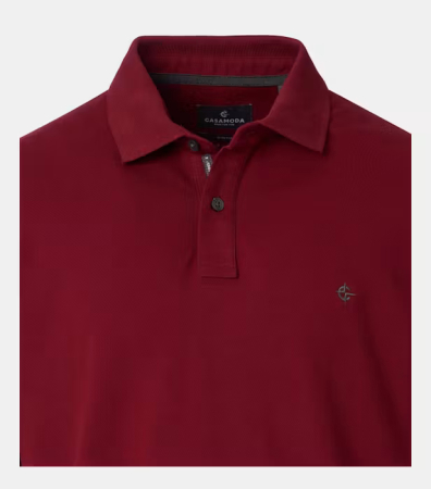 Tricou polo bumbac barbati CASA MODA 004470 visiniu [2]
