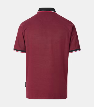 Tricou polo bumbac barbati CASA MODA visiniu [1]