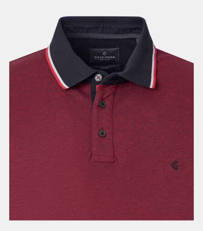 Tricou polo bumbac barbati CASA MODA visiniu [2]
