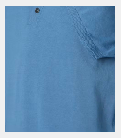 Tricou polo bumbac barbati CASA MODA albastru [3]
